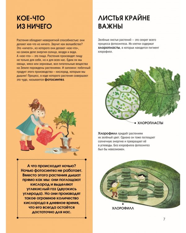 Язык растений. Понимаем, как общаются растения