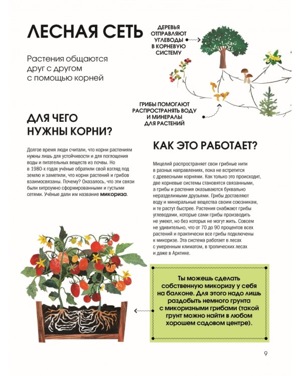 Язык растений. Понимаем, как общаются растения