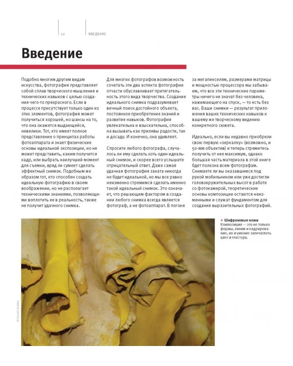 Школа фотографии Майкла Фримана. Композиция