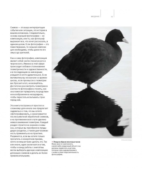 Школа фотографии Майкла Фримана. Композиция