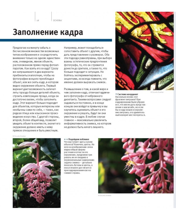 Школа фотографии Майкла Фримана. Композиция