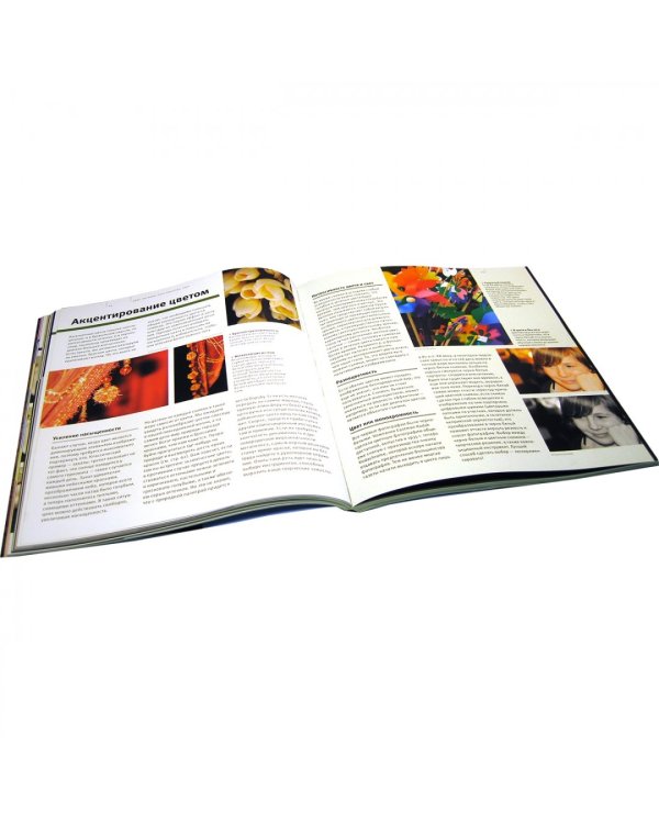 Школа фотографии Майкла Фримана. Композиция