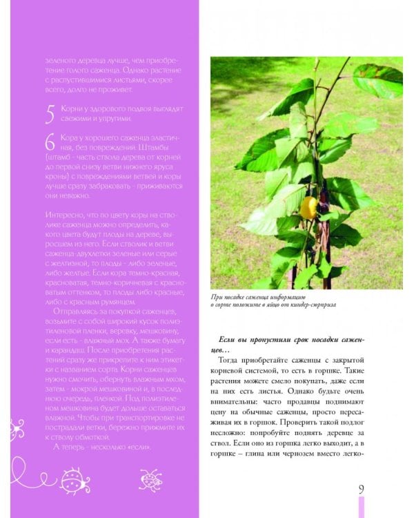 Дачные секреты от Ольги Платоновой. Иллюстрированная энциклопедия садовода-огородника