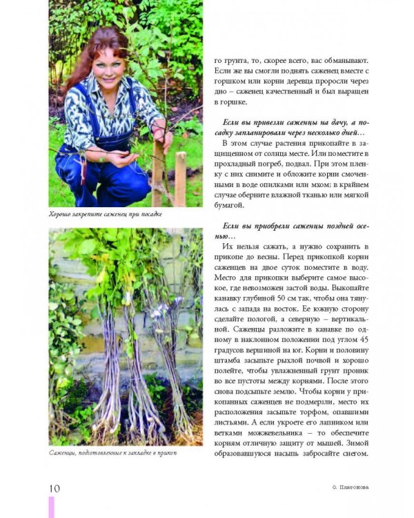 Дачные секреты от Ольги Платоновой. Иллюстрированная энциклопедия садовода-огородника