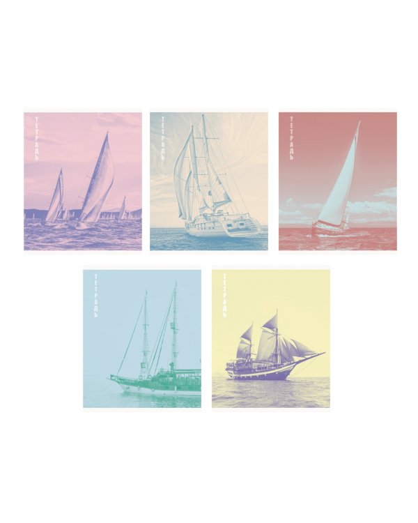 Тетрадь Регата, А5, 80 листов, линия