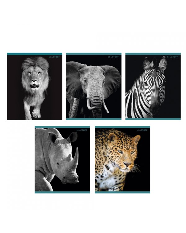 Тетрадь В мире дикой природы, А5, 96 листов, клетка