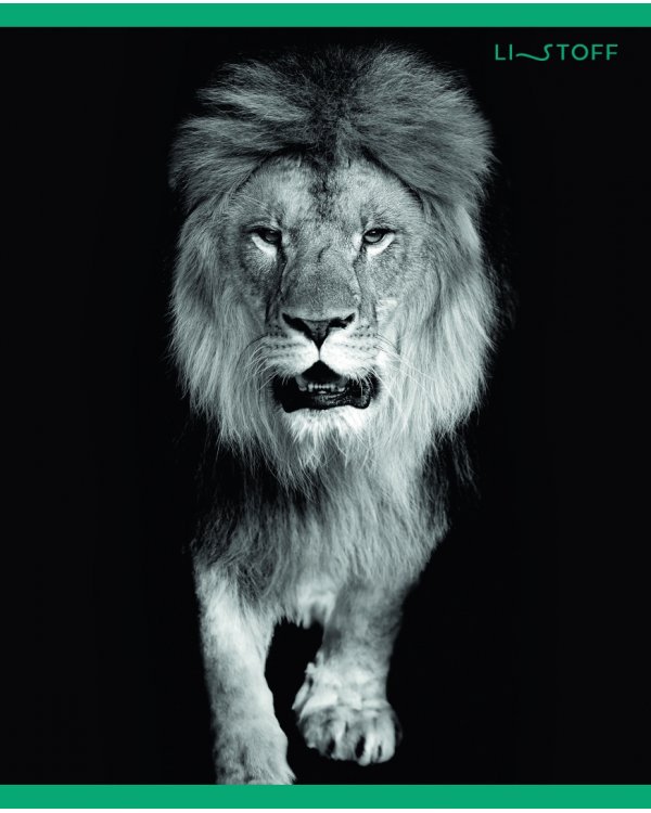 Тетрадь В мире дикой природы, А5, 96 листов, клетка