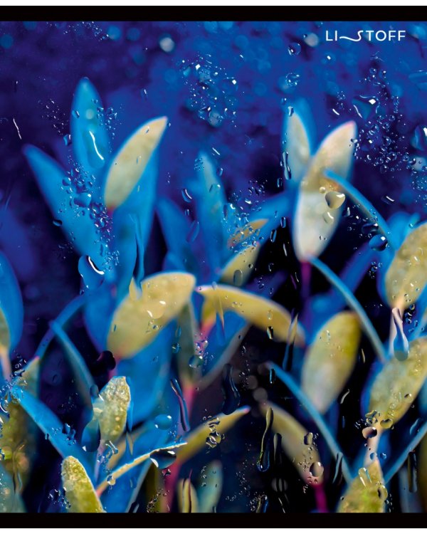 Тетрадь Сквозь дождь, А5, 96 листов, клетка