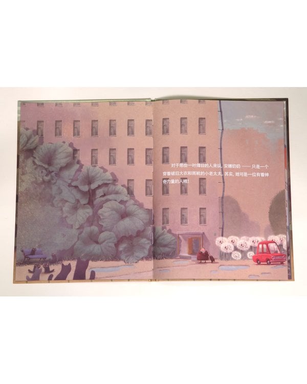 Кошачья фея (на китайском языке)