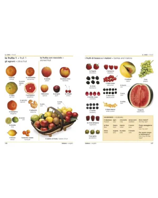 Italian-English Bilingual Visual Dictionary with Free Audio App