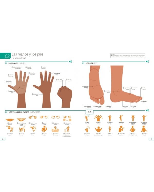 Spanish English Illustrated Dictionary