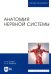 Анатомия нервной системы. Учебное пособие для вузов