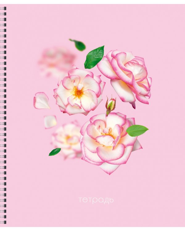 Тетрадь Невесомость, 96 листов, клетка, в ассортименте