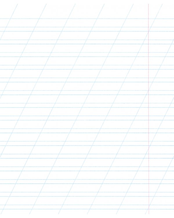 Тетрадь Классика CoverPrо, А5+, 12 листов, косая линейка, с пластиковой обложкой, в ассортименте