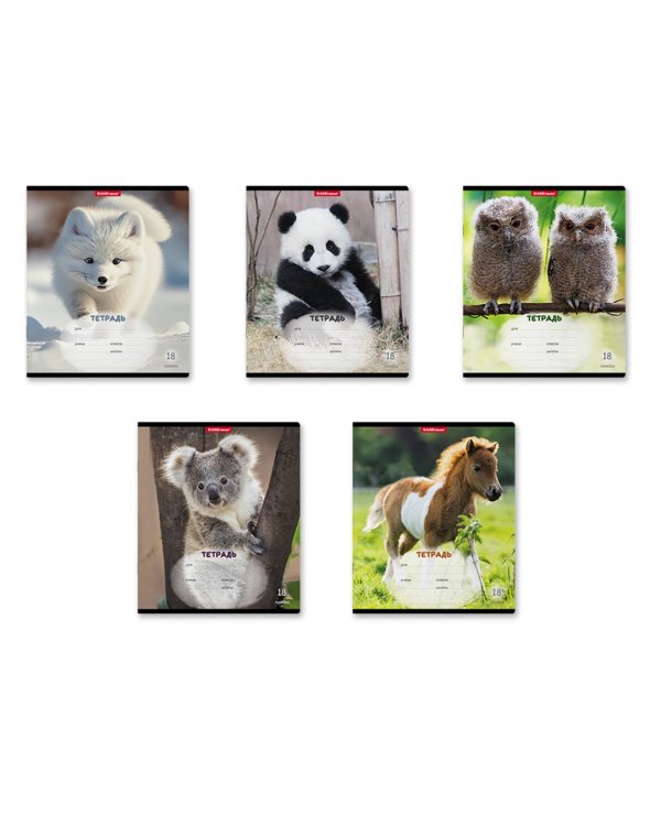 Тетрадь школьная ученическая Пушистики, 18 листов, линейка, в ассортименте, 10 штук