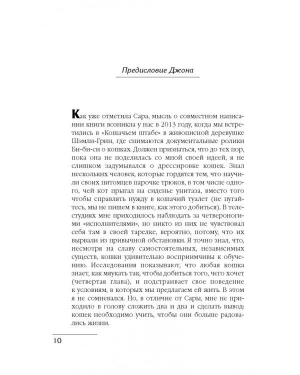 Как воспитать вашу кошку