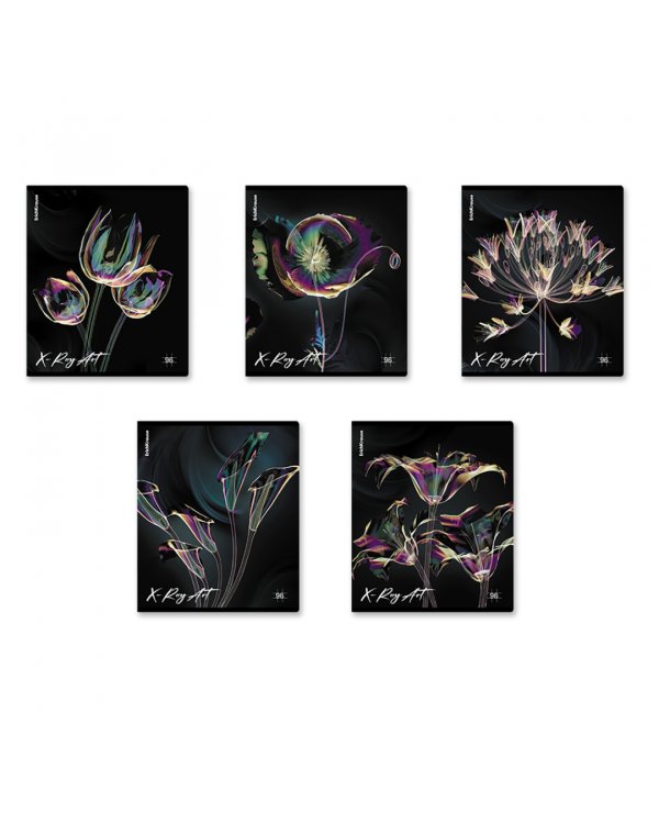 Тетрадь общая X-Ray Art, 96 листов, клетка, в ассортименте