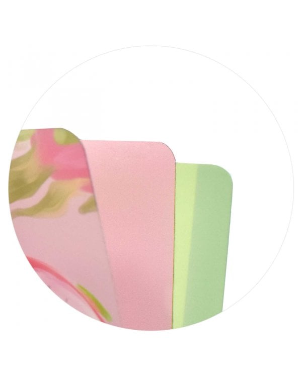 Папка-уголок для документов пластиковая Драконий фрукт, А4