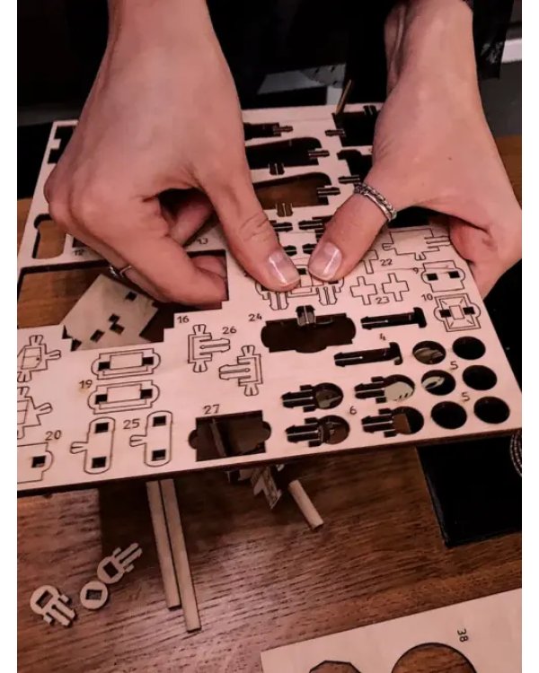 Конструктор деревянный 3D Ewa Belaz Mini