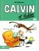 Calvin et Hobbes. Tome 10. Tous aux abris !