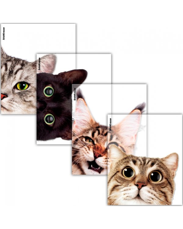 Набор обложек для тетрадей и дневников Hiding Cats, 12 штук