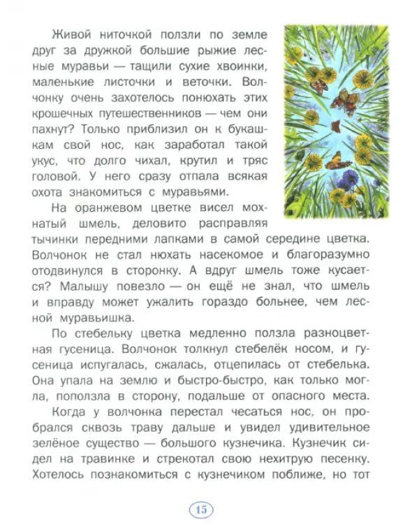 История одного волчонка