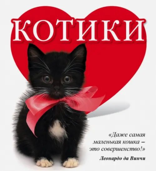 Котики