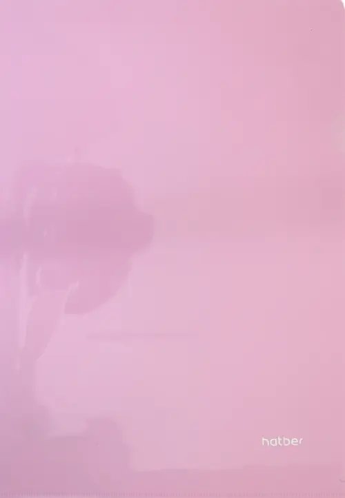 Папка-уголок пластиковая "NEWtone Pastel Пион" А4 (AG4_05018)