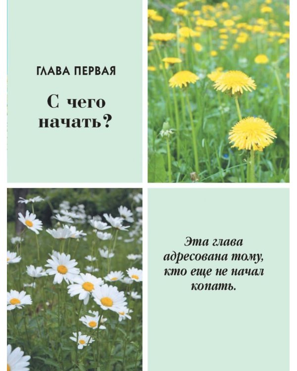 Большая иллюстрированная энциклопедия разумно ленивого огородника и садовода