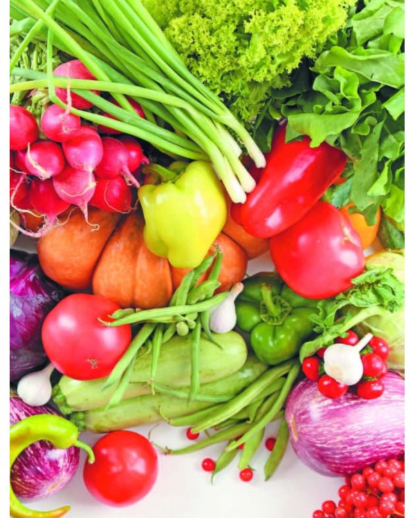 Большая иллюстрированная энциклопедия разумно ленивого огородника и садовода