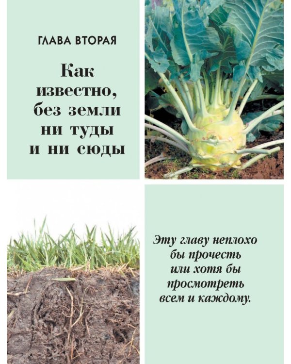 Большая иллюстрированная энциклопедия разумно ленивого огородника и садовода