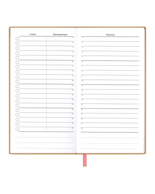Записная книжка для записи и изучения иностранных слов Коралловый Виннер, 64 листа
