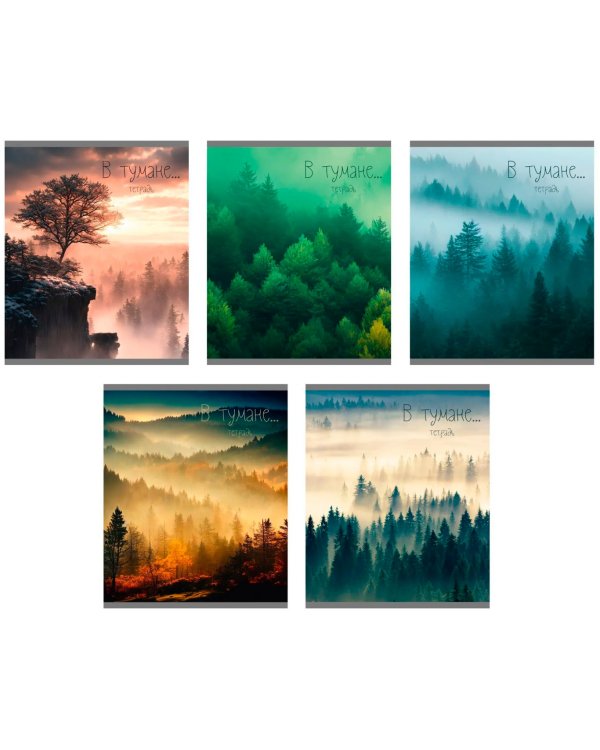 Тетрадь В тумане, 48 листов, клетка, в ассортименте