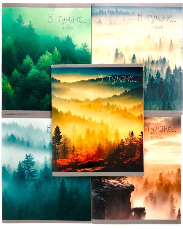 Тетрадь В тумане, 48 листов, клетка, в ассортименте