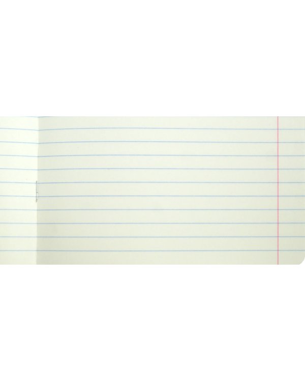 Тетрадь День ленивца, 18 листов, линия, в ассортименте