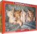 Puzzle-1000. Милые котята