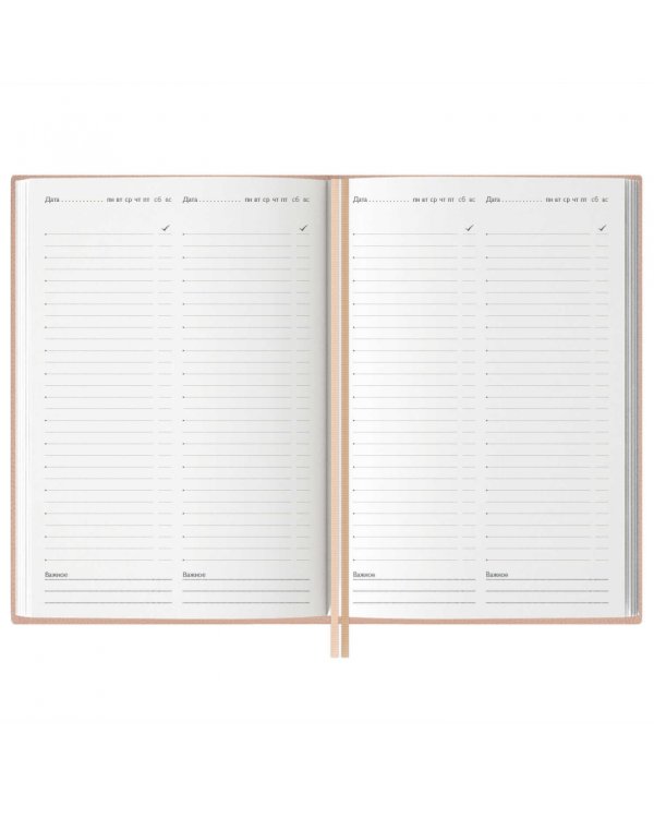 Ежедневник учителя Шеврет розовый, 160 листов, А5+
