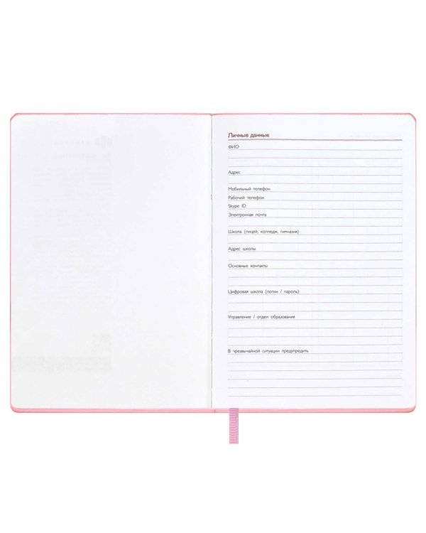 Записная книга учителя Сакура, А5, 120 листов