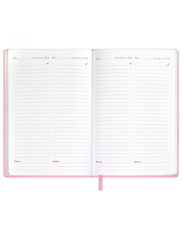 Записная книга учителя Сакура, А5, 120 листов