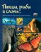 Рыбы, птицы и слоны... Занимательная книга школьника