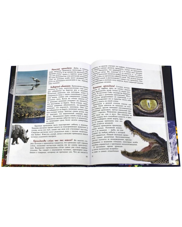 Рыбы, птицы и слоны... Занимательная книга школьника