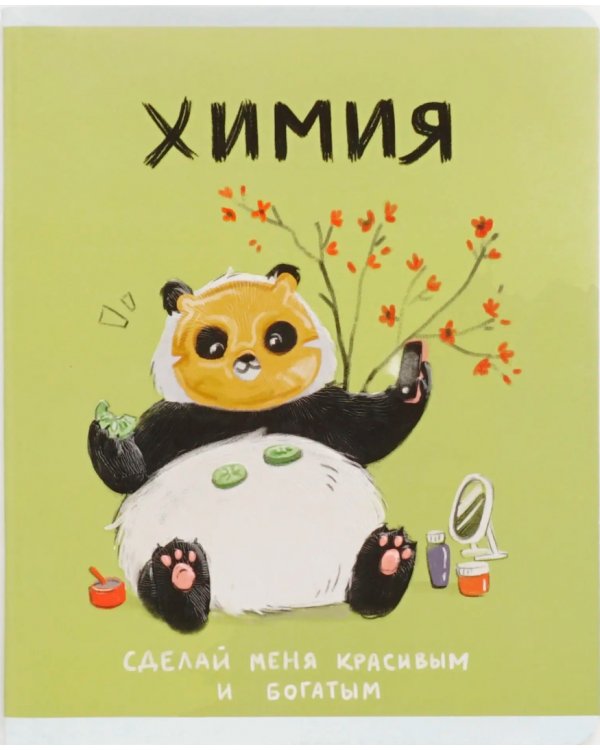 Тетрадь предметная Панда. Химия, 48 листов