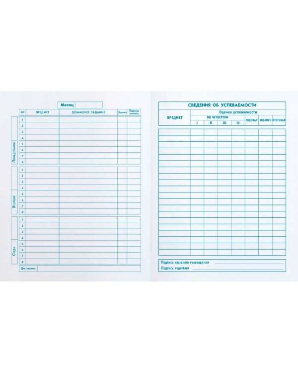 Дневник школьный для 1-4 классов Синие чернила