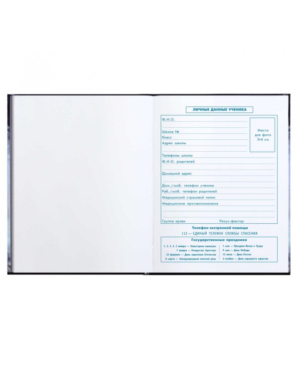 Дневник школьный для 1-4 классов Кот