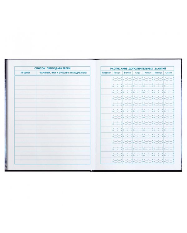 Дневник школьный для 1-4 классов Кот