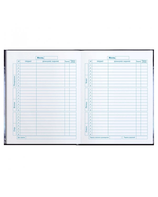 Дневник школьный для 1-4 классов Кот