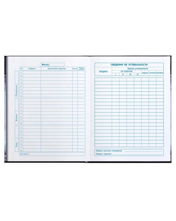 Дневник школьный для 1-4 классов Кот