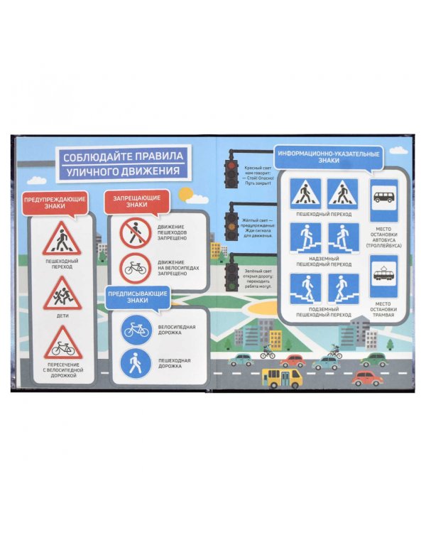 Дневник школьный для 1-4 классов Кот