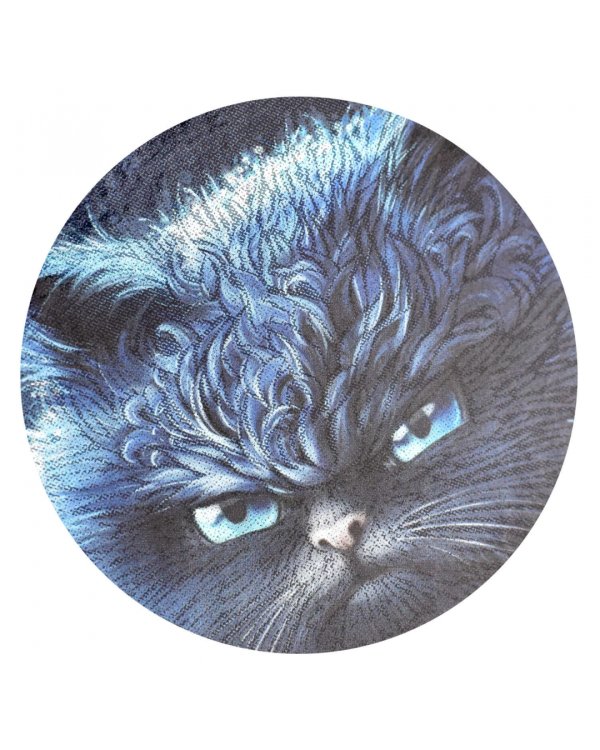 Дневник школьный для 1-4 классов Кот