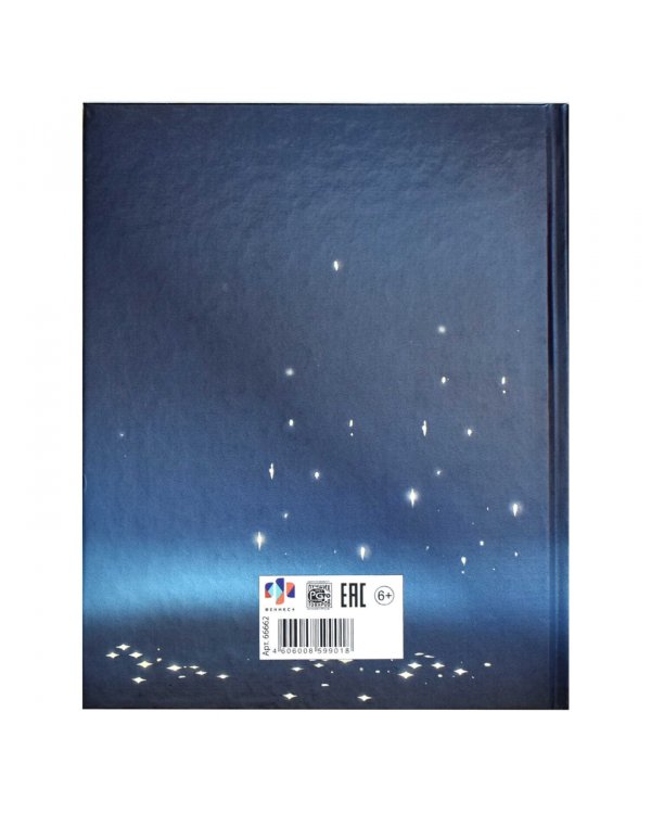 Дневник школьный для 1-4 классов Кот